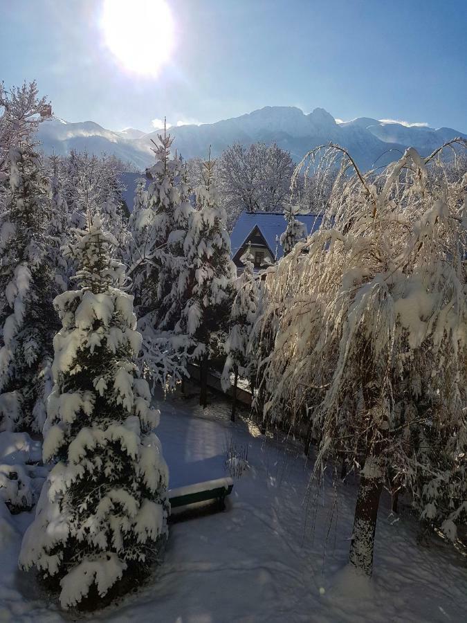 Mountain View Apartment Zakopane Exterior photo