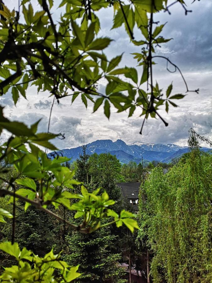 Mountain View Apartment Zakopane Exterior photo